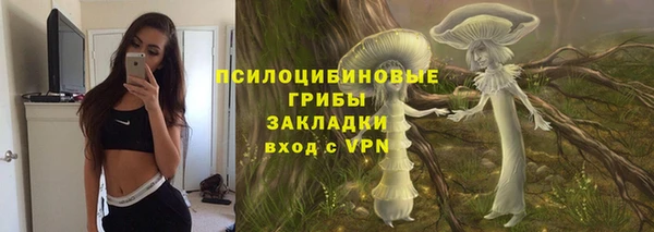 гашик Новочеркасск