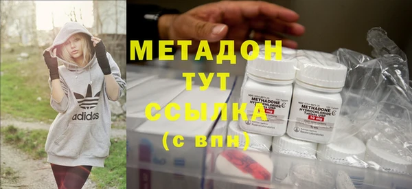 шишки Медвежьегорск