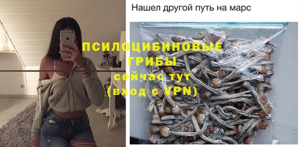 прущий лед Алексин