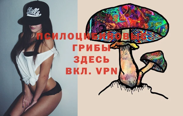 прущий лед Алексин