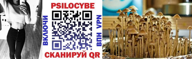 как найти закладки  Нижнекамск  Псилоцибиновые грибы Cubensis 