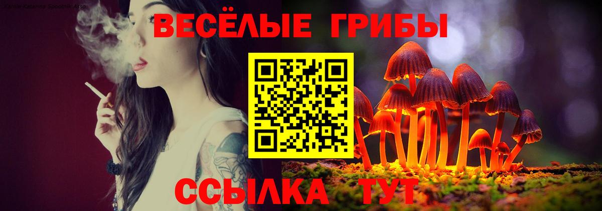Галлюциногенные грибы GOLDEN TEACHER  Вход с VPN  Нижнекамск  Галлюциногенные грибы Cubensis 